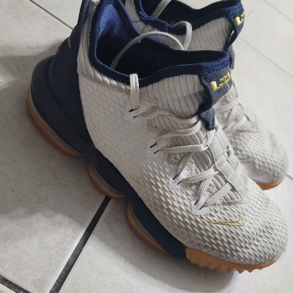 Lebron 16 low Olympic